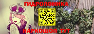 гидра Абакан